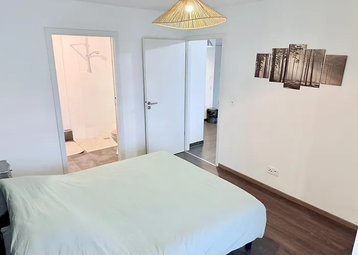 Let2 Moderne Avec Terrasse Et Parking Apartment *